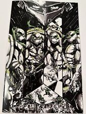 TMNT: Black, White, and Green #1 Limited Eskivo VIRGIN Cover Stashhhloot Excl picture