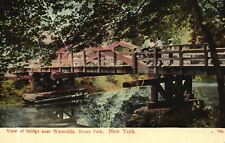 Vintage Postcard 1909 View Of Bridge Near Waterfalls Bronx Park New York NY picture