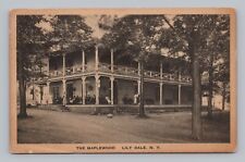 Postcard The Maplewood Hotel Lily Dale New York c1927 Albertype Sepia picture