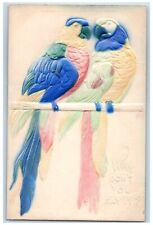 c1910's Colorful Parrots Love Birds Hanging Embossed Unposted Antique Postcard picture
