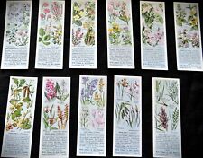 Typhoo Tea Cards - Wild Flowers In Their Families - 1st Series 1936 Full Set 25 picture