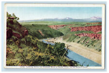 c1930s Looking Down the Colorado River at Burns Colorado CO Vintage Postcard picture