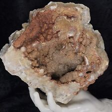 8-1/2” Geode Natural Red Orange Botryoidal Chalcedony Crystal Quartz Agate 7.3Lb picture