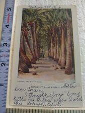 Postcard Coconut Palm Avenue Puerto Rico picture