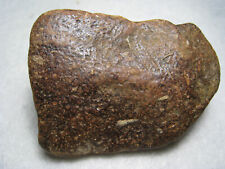 Strange Specimen Heavy Hematite In Fossil Limestone - E Kansas River 137 Grams picture