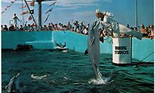 Marineland Marine Studios Porpoise Feeding 1960s MINT UNUSED  picture