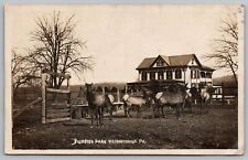 RPPC Elk at Billmeyer Park Washingtonville Pa Pennsylvania Postcard c1907 picture