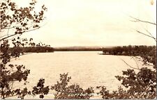 RPPC View of Au Sable Lake, Lupton MI Vintage Postcard J65 picture