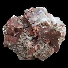 Charming marshy red apophyllite from India # 1001 picture