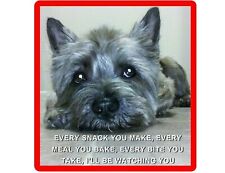 Funny Dog Cairn Terrier Watching You Refrigerator / Magnet Gift Card Insert picture