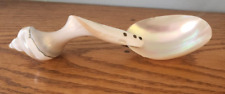 Serving Spoon Mother of Pearl Twisted Seashell Conch Shell Ladle Scoop Beautiful picture