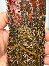 Large Orbicular Leopard Skin Jasper Slab Lapidary Cabbing Combo Ship Avail picture