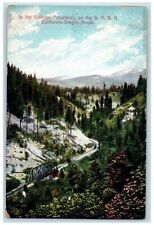 c1910 Siskyou Mountains Rock Bridge Trees SPRR California Oregon Route Postcard picture