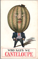 ~Canteloupe Man~ Fantasy Fruit~Anthropomorphic Greeting Postcard ~k58 picture