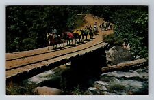 Trinity County CA-California, Packing, Antique, Vintage Souvenir Postcard picture