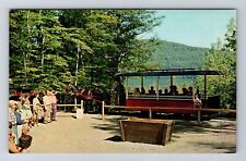 Cooperstown NY-New York, Woodland Museum, Vintage Postcard picture