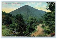 c1910's Jack's Hollow Near Williamsport Pennsylvania PA Posted Antique Postcard picture