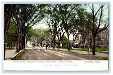 1906 Main Street Campello, Clifton Ave Brockton Massachusetts MA Posted Postcard picture