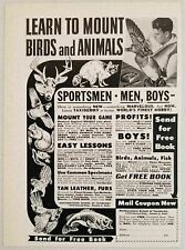 1962 Print Ad Northwestern School of Taxidermy Mount Birds Animals Omaha,NE picture