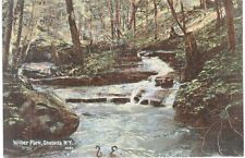 Oneonta Wilbur Park Brook 1910 1905 NY  picture