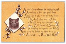 1917 Cute Cat Pussy Will O Pipe Berry Portland Oregon OR Posted Antique Postcard picture