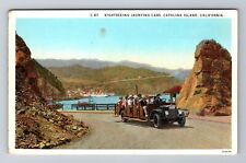 Catalina Island CA-California Sightseeing Jaunting Cars Antique Vintage Postcard picture