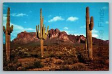 Color Postcard Of Giant Saguaros Superstition Mountains Mesa Arizona Petley picture