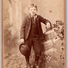 c1880s Lebanon PA Handsome Young Man String Button Cabinet Card Photo Roshon B14 picture