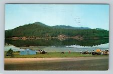 Custer State Park SD, Stockade Lake, South Dakota c1967 Vintage Postcard picture
