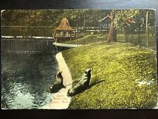 Vintage Postcard 1907-1915 Seals, Belle Island, Detroit, Michigan (MI) picture
