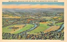 PRE-LINEN POSTCARD   Beautiful Shenandoah River and Valley from Massanutten  picture