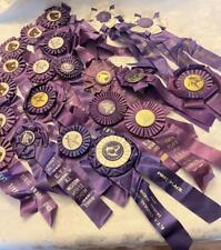 Equestrian 21 Vintage Horse 1st place Blue Ribbons Rosettes Ventura, Ojai CA R3 picture
