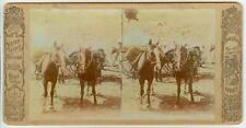 c1880s Wisconsin? pack horses scene scene stereo photo - Thornward Series picture