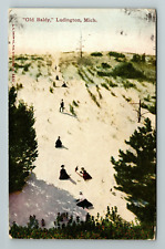 Ludington MI-Michigan, Old Baldy, Exterior, Scenic Winter, Vintage Postcard picture