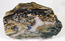 RARE INCREDIBLE PETRIFIED WOOD SLAB FOR DISPLAY POLISHING MUST SEE picture