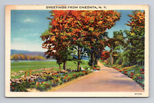 1933 Greetings from Oneonta NY Country Road River Linen Postcard picture