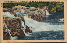 Trout Fishing Smoky Mts. Stream Waders Creel Tennessee State Dept. Conservation picture