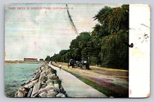 c1905 People Horse Buggy Lake Drive In Gordon Park Cleveland Ohio  P243 picture