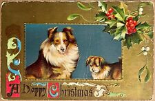 Christmas Collie Dog Gold Antique Postcard 1908 picture
