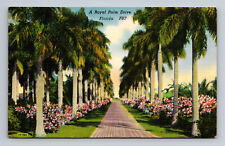 Royal Palm Drive Florida FL Posted 1950 Linen Postcard picture