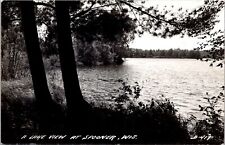 RPPC Lake View at Spooner WI Vintage Postcard Q52 picture