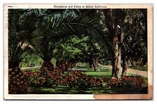 Eucalyptus And Palms In Sunny California Postcard picture