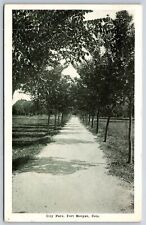 Fort Morgan Colorado~View Down Road @ City Park~Postmarked~Vintage Postcard picture