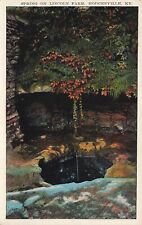 Springs on Lincoln Farm Hodgenville Kentucky Ky UP Postcard picture