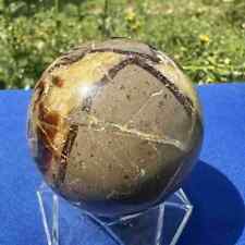 350g Natural Septarian Quartz Sphere Crystal Turtle Stone Ball Healing picture