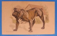 C.1912 Postcard English Bulldog Illustration ~ Hand Colored picture