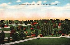 Postcard KY Typical Blue Grass Stock Farm In Old Kentucky Linen Vintage PC G2861 picture