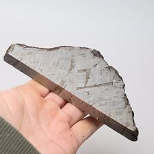 353g Muonionalusta meteorite part slice  A2019 picture