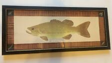 Vintage Largemouth Bass Fish Picture Fine Art Color Print Old Antique Fishing picture