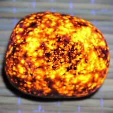 BRIGHT Yooperlite Rock from Lake Superior Fluorescent Sodalite Glowing Stone X7 picture